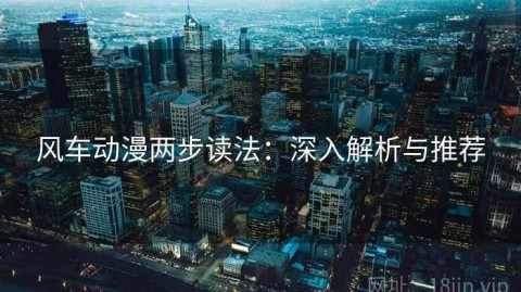 风车动漫两步读法：深入解析与推荐