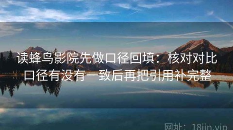 读蜂鸟影院先做口径回填：核对对比口径有没有一致后再把引用补完整