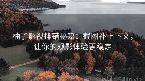 柚子影视排错秘籍：截图补上下文，让你的观影体验更稳定