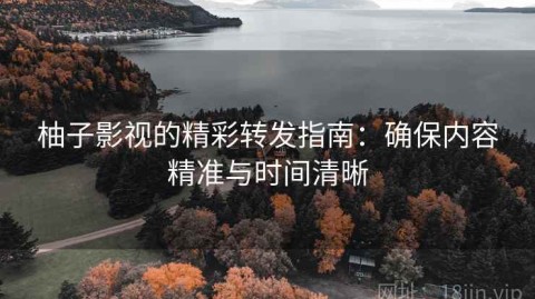 柚子影视的精彩转发指南：确保内容精准与时间清晰