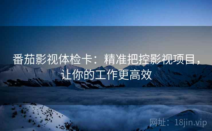 番茄影视体检卡：精准把控影视项目，让你的工作更高效